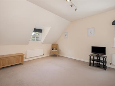 Picture 24
